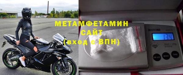 прущие грибы Медногорск
