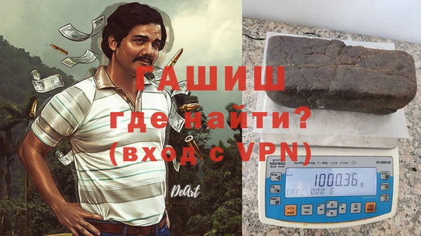 прущие грибы Медногорск