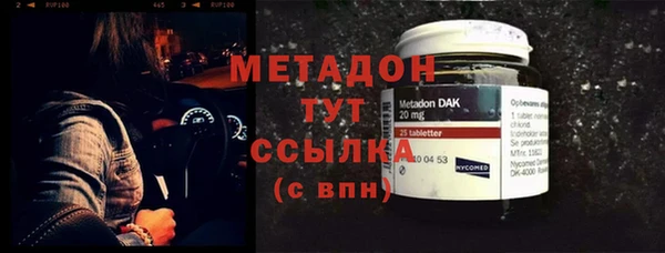 прущие грибы Медногорск