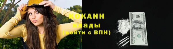прущие грибы Медногорск
