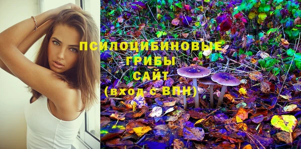 прущие грибы Медногорск