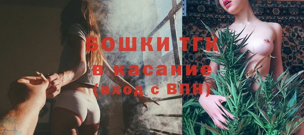 прущие грибы Медногорск