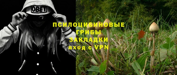 прущие грибы Медногорск