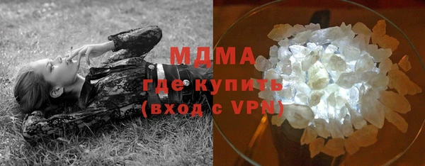 прущие грибы Медногорск