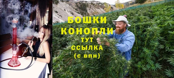 прущие грибы Медногорск